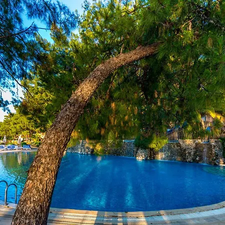 리조트 Grand Yazici Club Palace